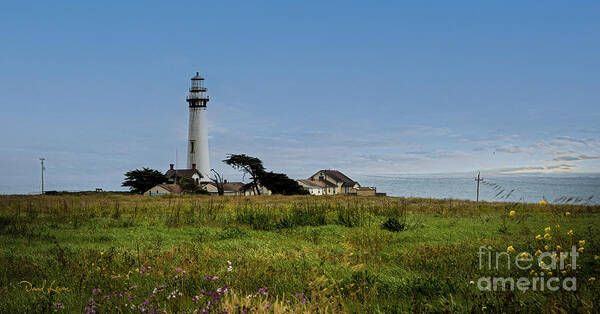 Lighthouse Poster featuring the photograph Pigeon Point Lighthouse by David Levin