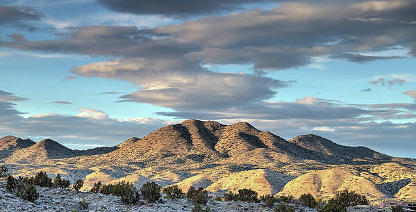 New Mexico Poster featuring the photograph Cerrillos Hills by JC Findley