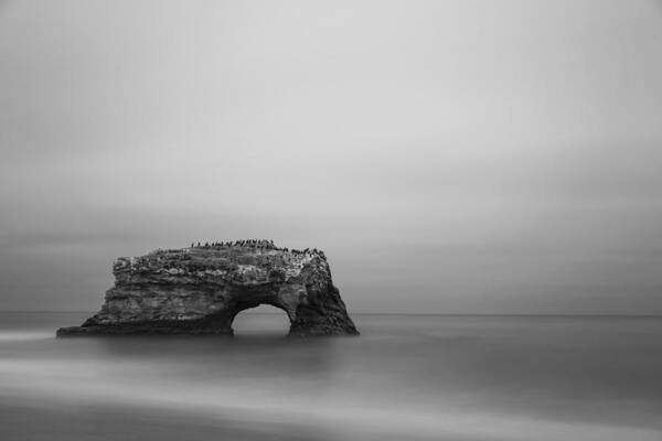 Natural Bridges State Park Poster featuring the photograph Natural Bridges #2 by Lee Harland