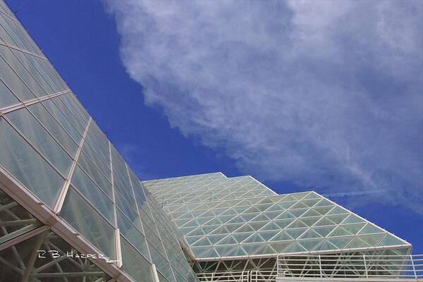 Buildings Poster featuring the photograph Biosphere 2 Glazing by R B Harper