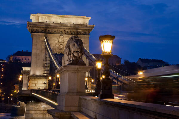 Szechenyi Chain Bridge Buda Budah Pest City Cities Connect Connected Plus Capital Hungary Europe East Eastern Lamp Light Dusk Dawn Drive Car Auto Automobile Shadow Shadows Highlight Highlights Poster featuring the photograph Budapest Bridge with Lion by Matthew Bamberg