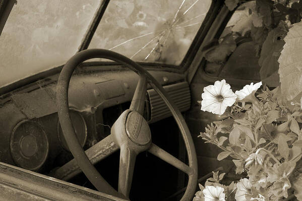 Sepia Poster featuring the photograph Driving Flowers by Arthur Fix