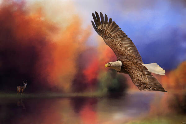 Jai Johnson Poster featuring the photograph Fall Flight - Bald Eagle by Jai Johnson