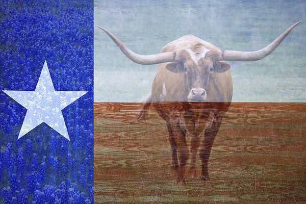 Texas Poster featuring the photograph Forever Texas by Paul Huchton