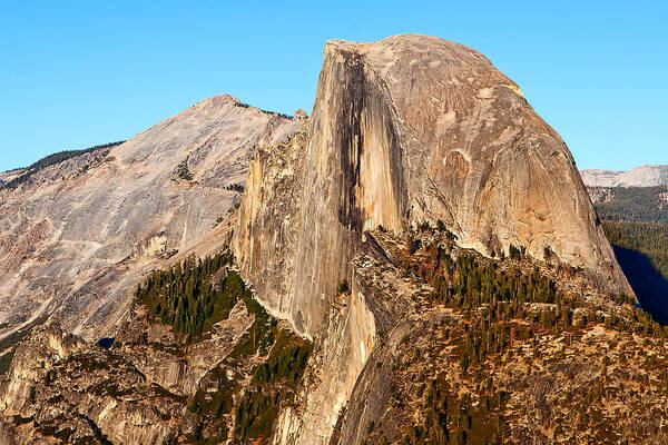 California Poster featuring the photograph Half Dome by Peter Tellone