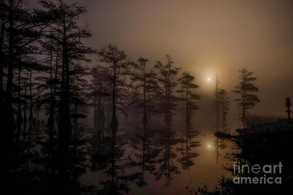 Swamp Poster featuring the photograph Mississippi Foggy Delta Swamp at Sunrise by T Lowry Wilson