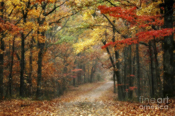 Natchez Trace Poster featuring the photograph Old Trace Fall - Along the Natchez Trace in Tennessee by T Lowry Wilson