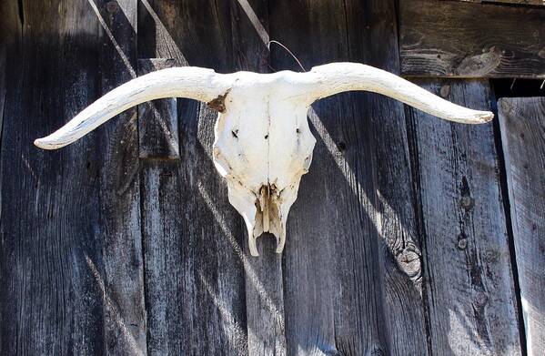 Scenic Poster featuring the photograph Scenic Ghost Town by Suzanne Lorenz