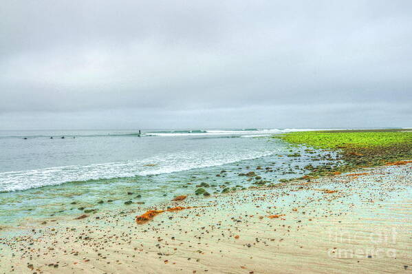 Malibu Poster featuring the photograph Surfrider Lawn by Richard Omura