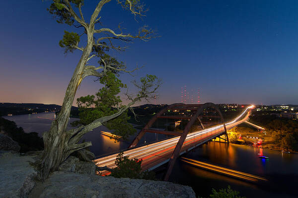Pennybacker Bridge Poster featuring the photograph The Tree Over the Pennybacker Bridge by Tim Stanley