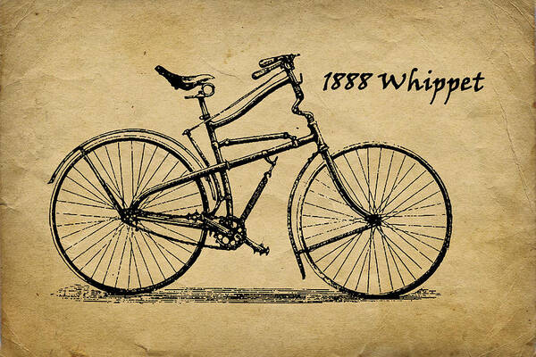 Whippet Poster featuring the photograph Whippet Bicycle by Tom Mc Nemar