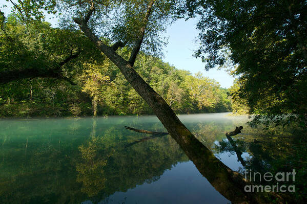 Greer Spring Poster featuring the photograph Eleven Point River by Chris Brewington Photography LLC