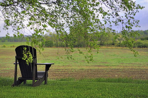 Ajnphotography Poster featuring the photograph Room with a view by Alan Norsworthy