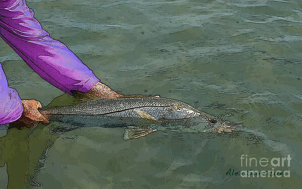 Bonefish Poster featuring the painting Snook Revival by Alex Suescun