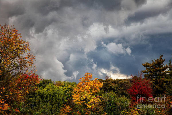 Foliage Poster featuring the photograph Storms Coming by Ronald Lutz