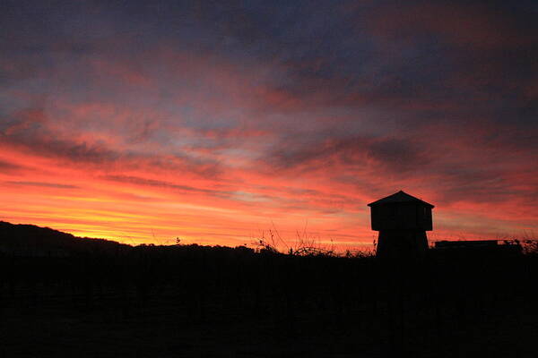 Tankhouse Poster featuring the photograph Tankhouse Sunrise in Healdsburg by Suzanne Lorenz