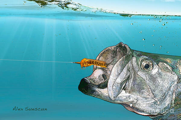 Tarpon Poster featuring the painting Tarpon Take by Alex Suescun