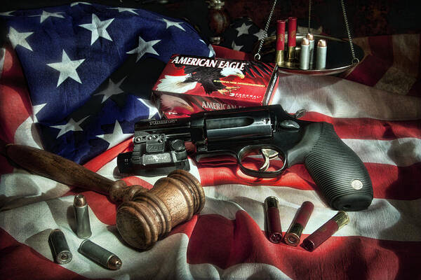Gun Poster featuring the photograph The Judge by Tom Mc Nemar