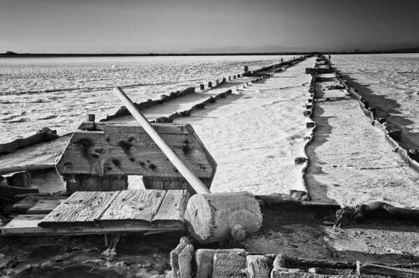 Photography Photographs Poster featuring the photograph The salt of the earth by Philippe Taka