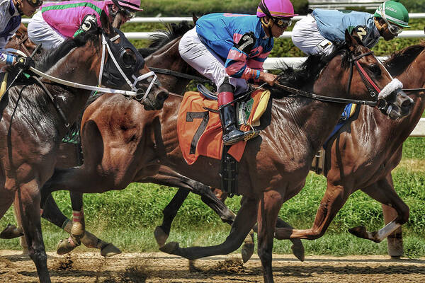 Race Horses Poster featuring the photograph Striving #1 by Jeffrey PERKINS