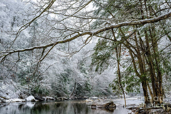 Cranberry River Poster featuring the photograph March Snow along Cranberry River #2 by Thomas R Fletcher