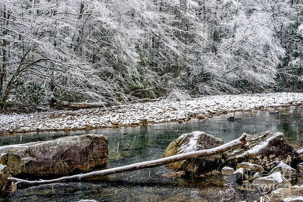 Cranberry River Poster featuring the photograph Winter along Cranberry River #21 by Thomas R Fletcher