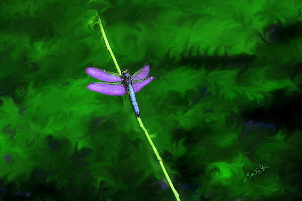 Dragonfly Poster featuring the digital art Behind the Scenes by Lisa Redfern