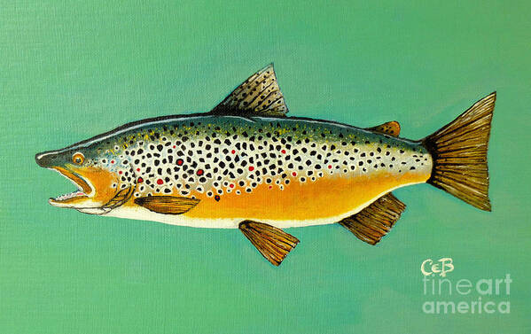 Brown Trout Poster featuring the painting Brown Trout by Chad Berglund