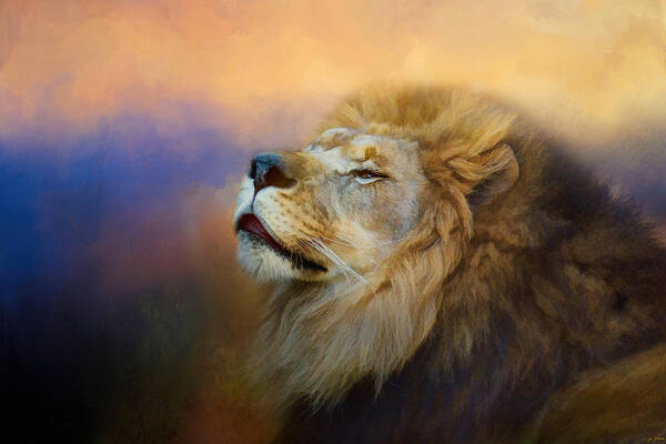Jai Johnson Poster featuring the photograph Do Lions Go To Heaven? by Jai Johnson