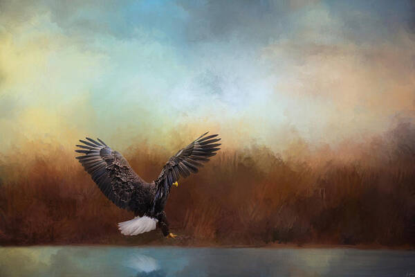 Jai Johnson Poster featuring the photograph Eagle Hunting In The Marsh by Jai Johnson