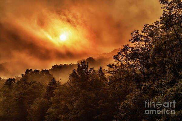 Williams River Poster featuring the photograph Foggy Sunrise Monongahela National Forest by Thomas R Fletcher