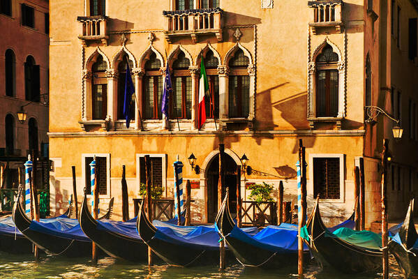 Venice Poster featuring the photograph Gondola Parking Only by Mick Burkey