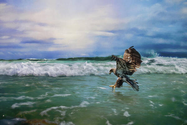 Jai Johnson Poster featuring the photograph Juvenile Eagle At Sea Wildlife Art by Jai Johnson