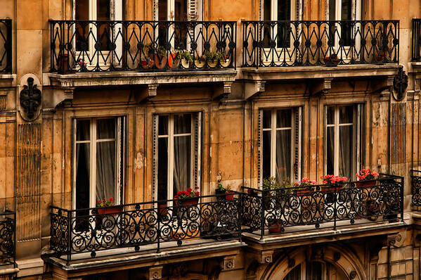 Paris Poster featuring the photograph Left Bank Balconies by Mick Burkey