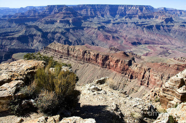 Lipan Point Poster featuring the photograph Lipan Point by Thomas R Fletcher
