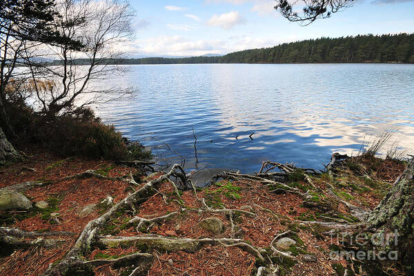 Loch Morlich Poster featuring the photograph Loch Morlich by Smart Aviation