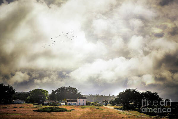 American Poster featuring the photograph Mendocino House II by Craig J Satterlee