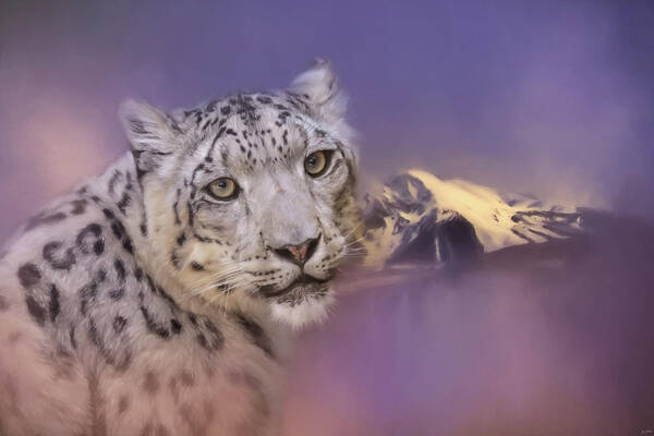 Jai Johnson Poster featuring the photograph Mountain Guardian Snow Leopard Art by Jai Johnson