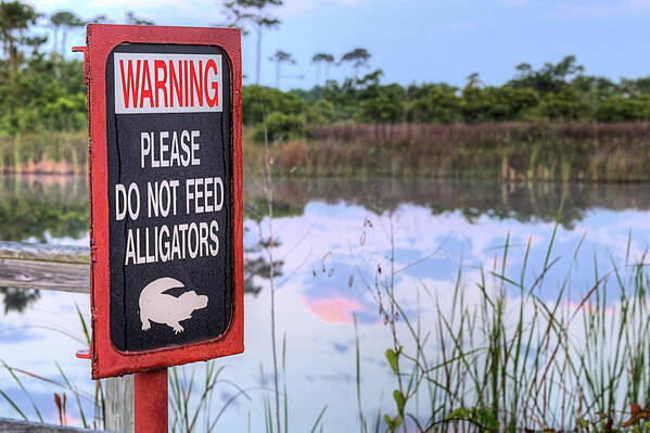 No Swimming Poster featuring the photograph No Swimming by JC Findley