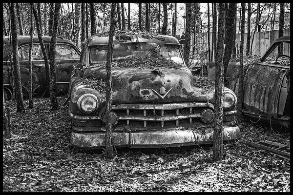 Junked Car Poster featuring the photograph Old Cadillac by Matthew Pace