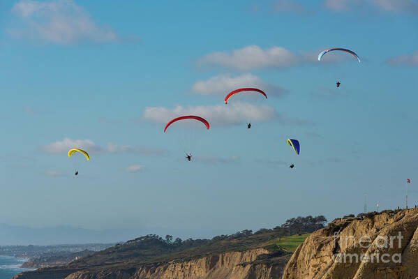 Beach Poster featuring the photograph Paragliders at Torrey Pines Gliderport by David Levin