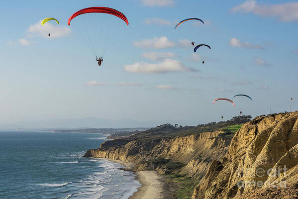 Beach Poster featuring the photograph Paragliders at Torrey Pines Gliderport Over Black's Beach by David Levin