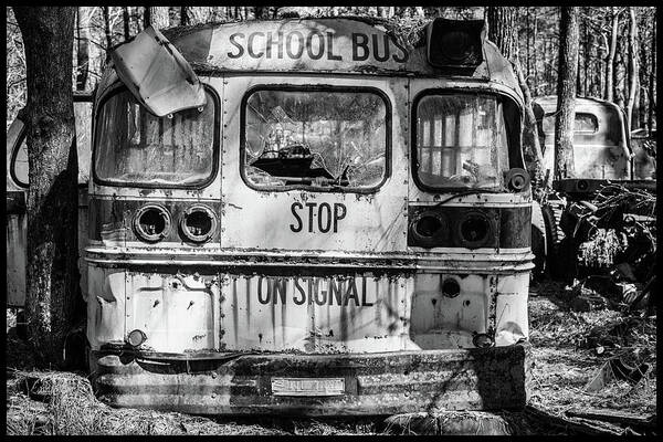 School Bus Poster featuring the photograph School Bus by Matthew Pace