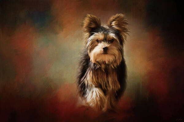 Jai Johnson Poster featuring the photograph Stepping Into Autumn Yorkshire Terrier Art by Jai Johnson