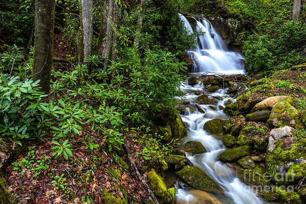 Elk River Poster featuring the photograph Waterfall Back Fork of Elk River by Thomas R Fletcher