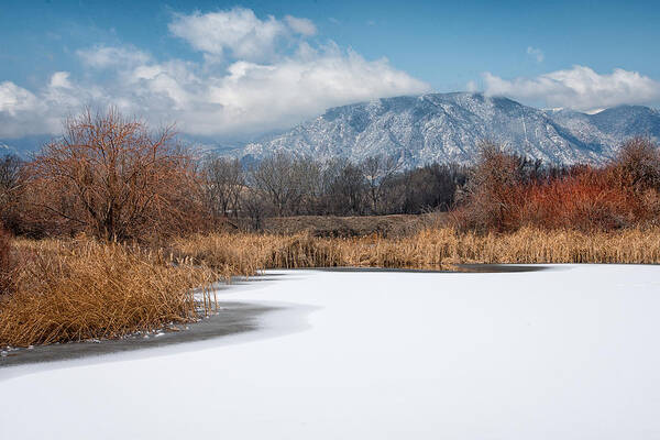 Pikes Peak Poster featuring the photograph Winter on the Pond by Elin Skov Vaeth