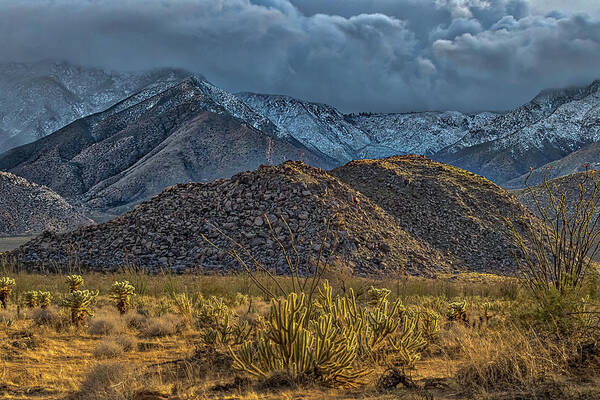 Agua Caliente Poster featuring the photograph Winter Storm to the Desert Floor by Peter Tellone