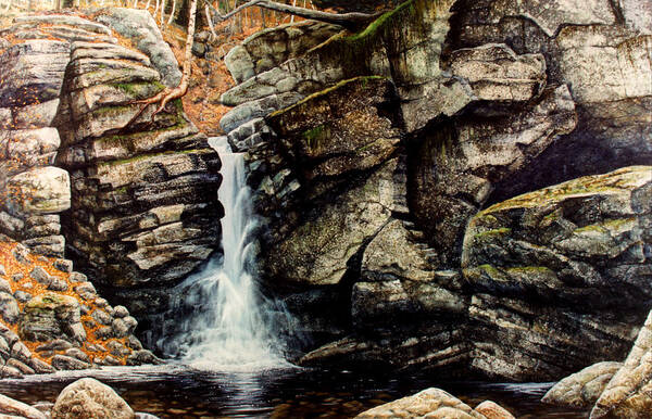  Waterfall Poster featuring the painting Woodland Falls by Frank Wilson