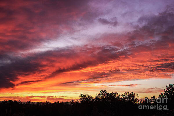 Natanson Poster featuring the photograph October Dawn by Steven Natanson