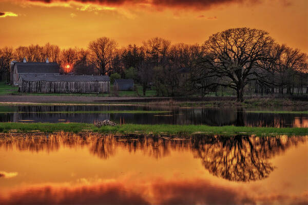 Pond Spring Sunset Goose Mother Goose Oak Tree Green Golden Barn Farm Wi Wisconsin Stoughton Madison Rural Scenic Horizontal Poster featuring the photograph Scenic Pondquility - Spring sunset over a Wisconsin farm scene with pond and nesting goose by Peter Herman